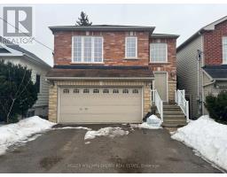 BASEMENT - 343 PINE AVENUE, Oshawa, Ontario