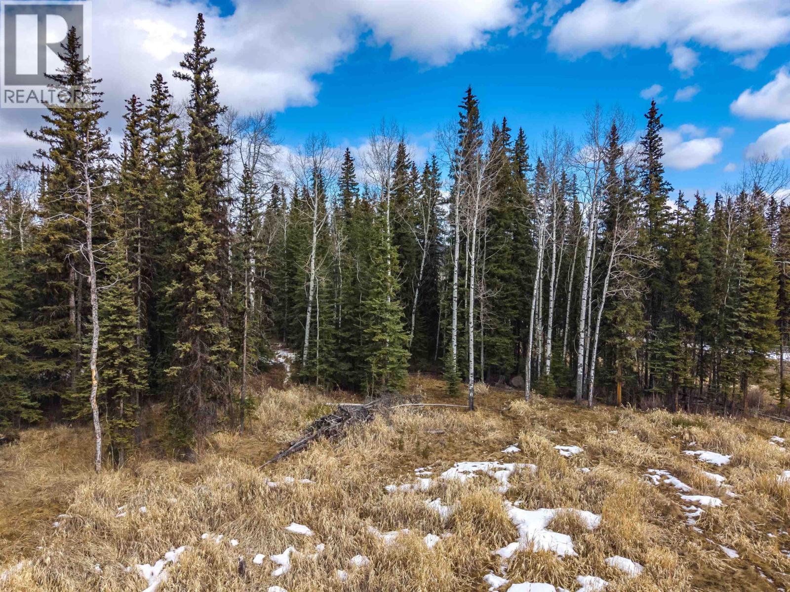 Lot 11 Pegasus Road, Horse Lake, British Columbia  V0K 2E3 - Photo 10 - R3097142