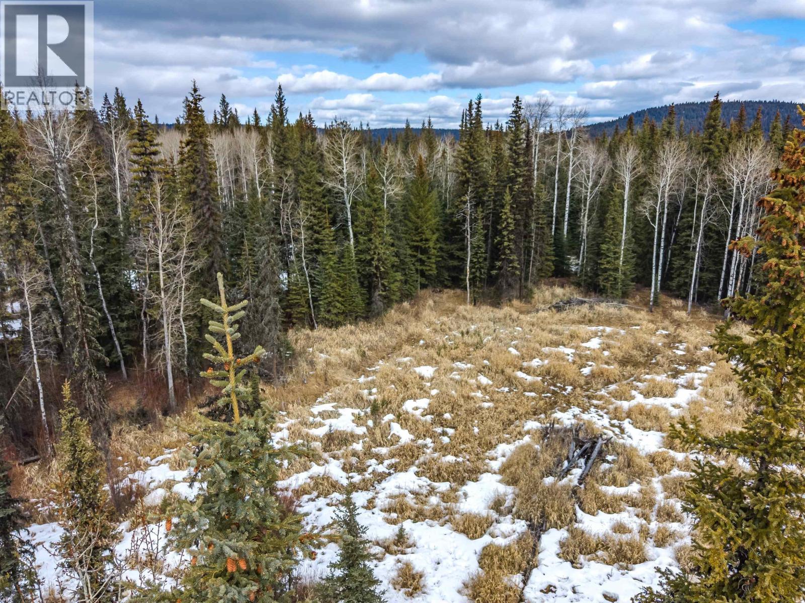 Lot 11 Pegasus Road, Horse Lake, British Columbia  V0K 2E3 - Photo 8 - R3097142