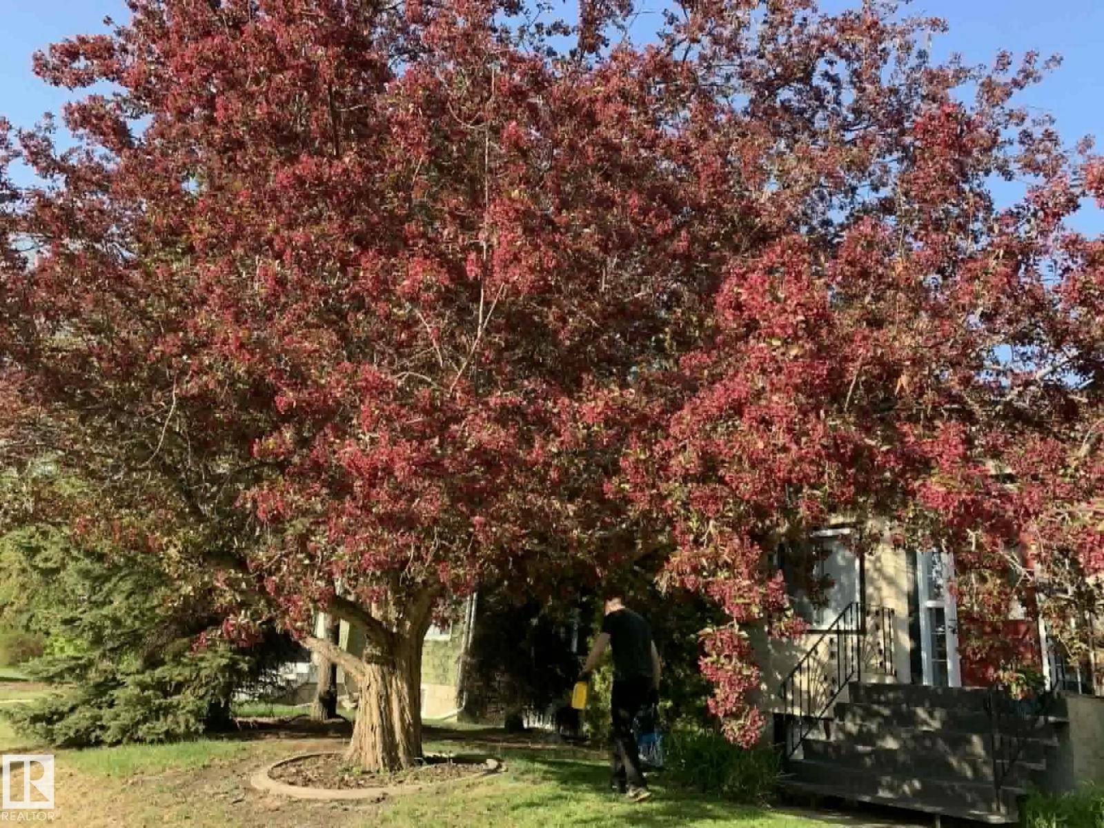 12013 54 St Nw, Edmonton, Alberta  T5W 3N2 - Photo 47 - E4476375