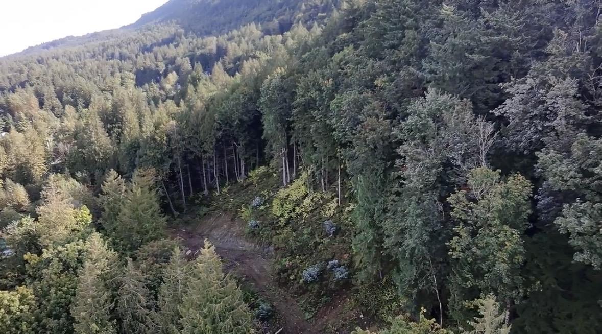 41768 Bowman Road, Vedder Mountain, Yarrow, British Columbia  V2R 5G8 - Photo 4 - R3096930