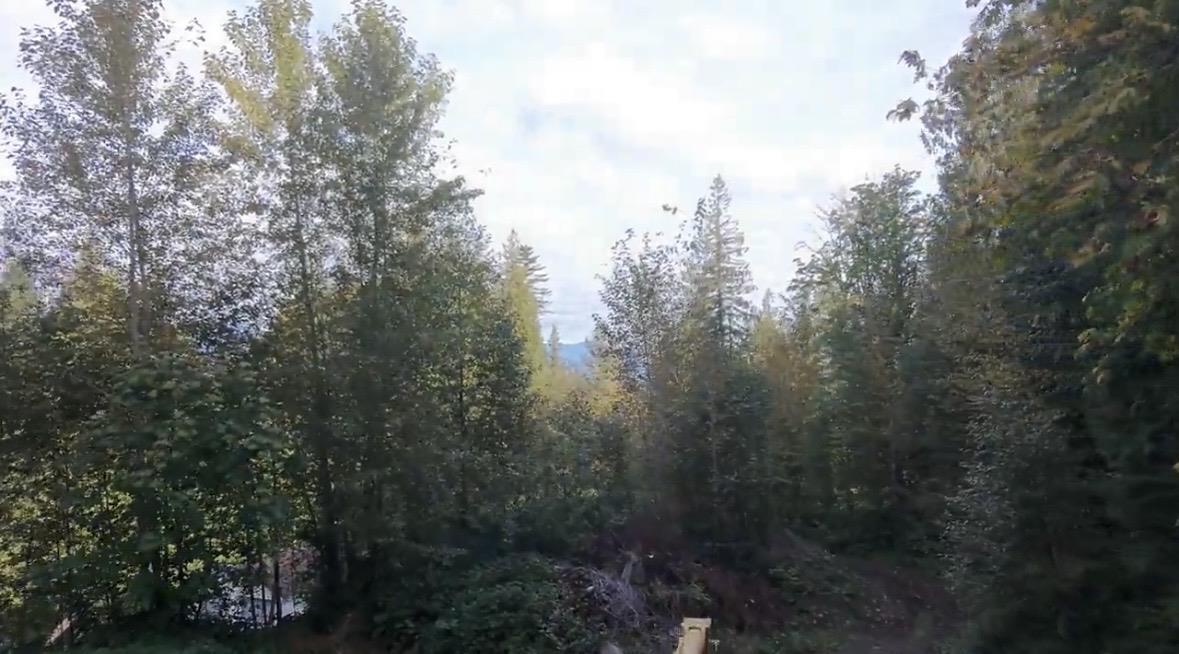 41768 Bowman Road, Vedder Mountain, Yarrow, British Columbia  V2R 5G8 - Photo 13 - R3096930