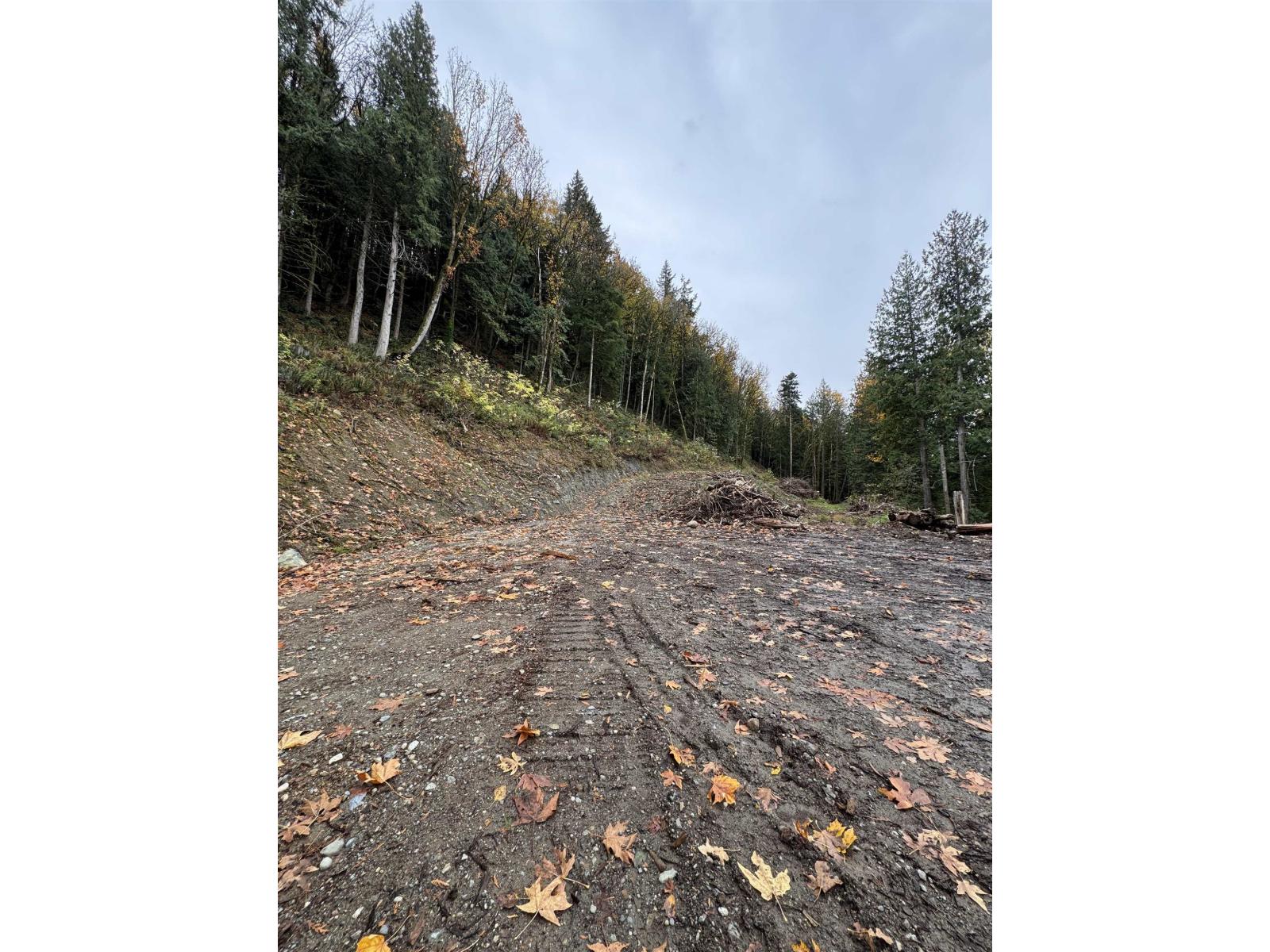 41768 Bowman Road, Vedder Mountain, Yarrow, British Columbia  V2R 5G8 - Photo 16 - R3096930