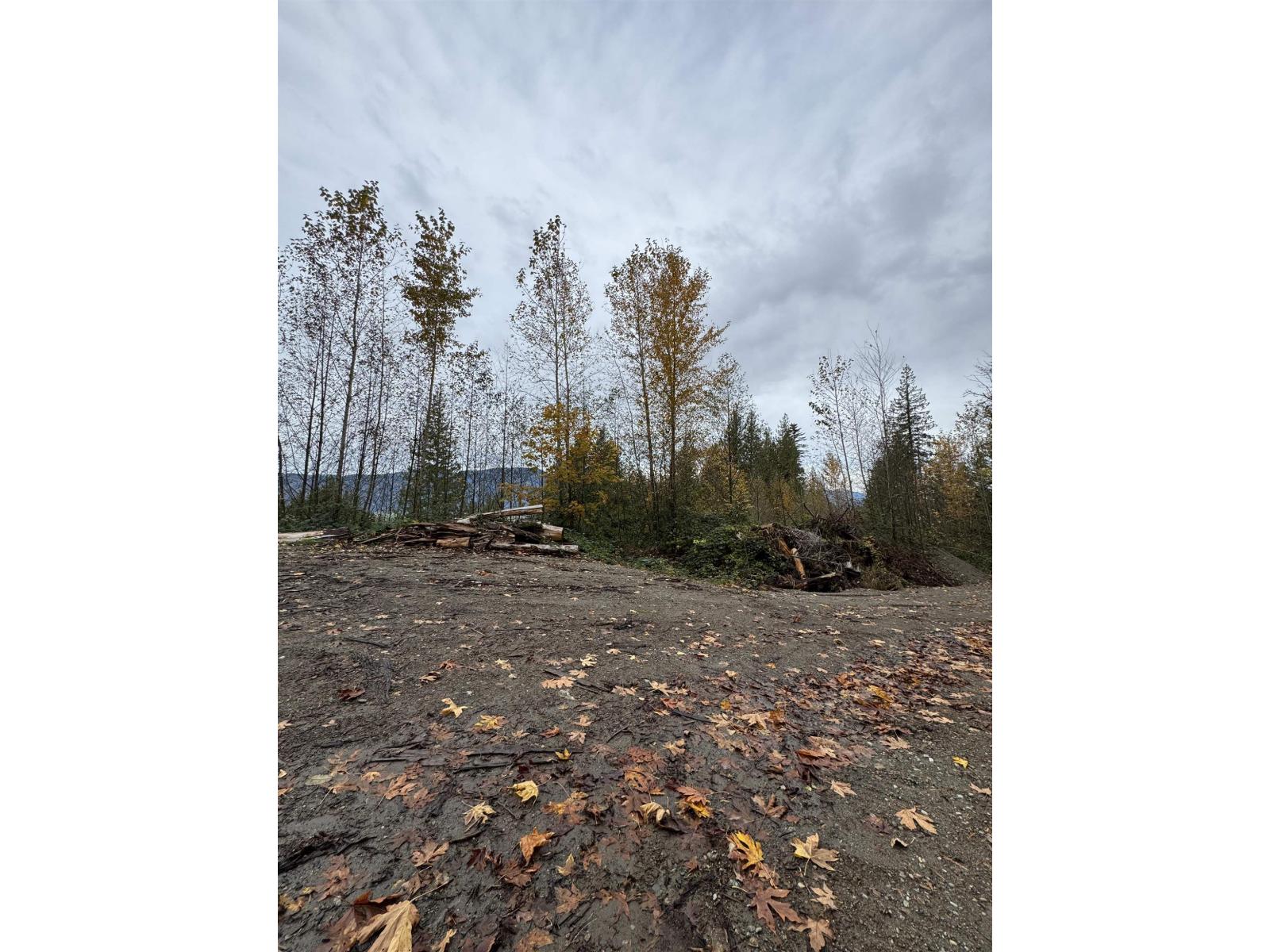 41768 Bowman Road, Vedder Mountain, Yarrow, British Columbia  V2R 5G8 - Photo 18 - R3096930