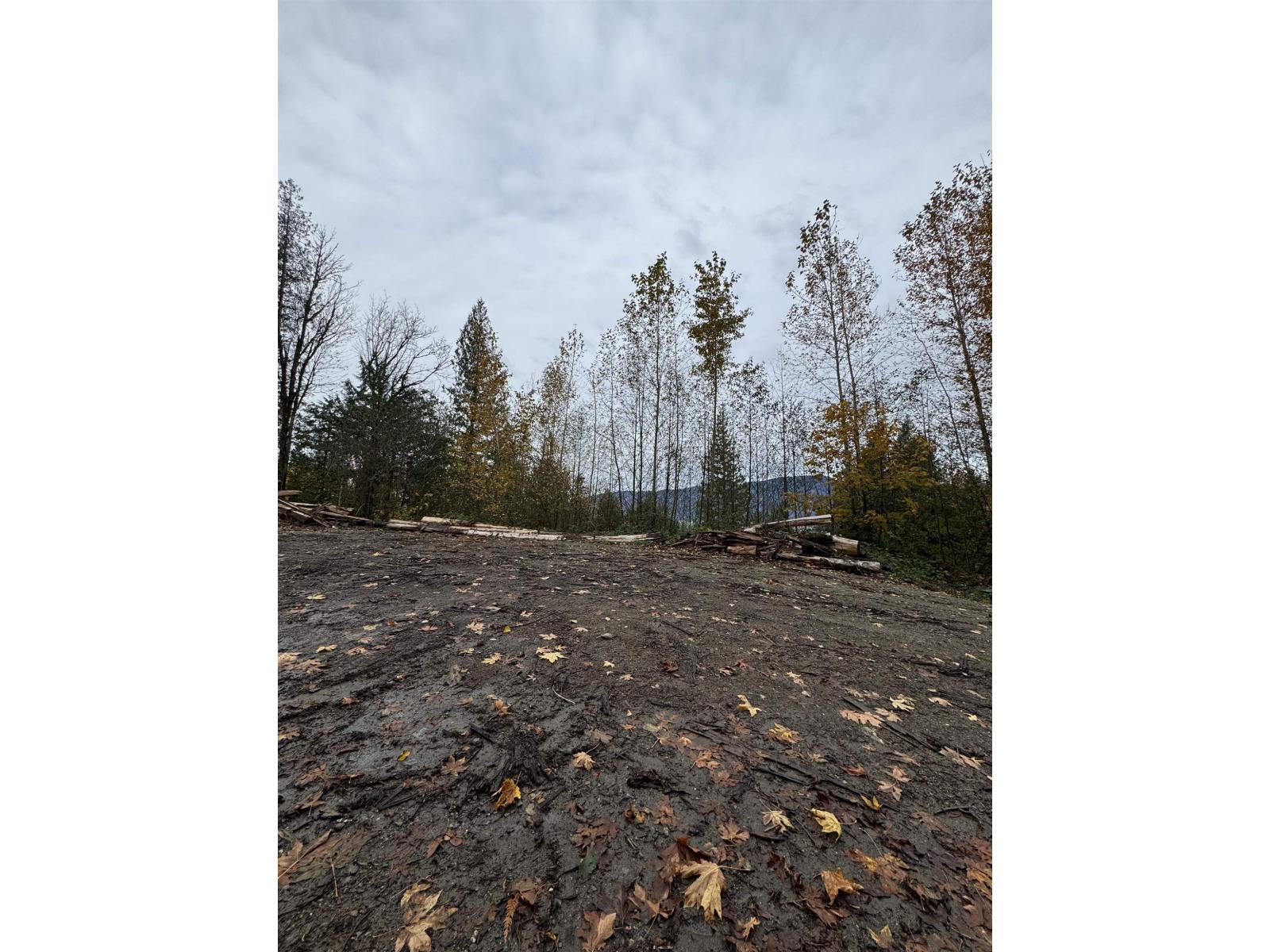 41768 Bowman Road, Vedder Mountain, Yarrow, British Columbia  V2R 5G8 - Photo 19 - R3096930