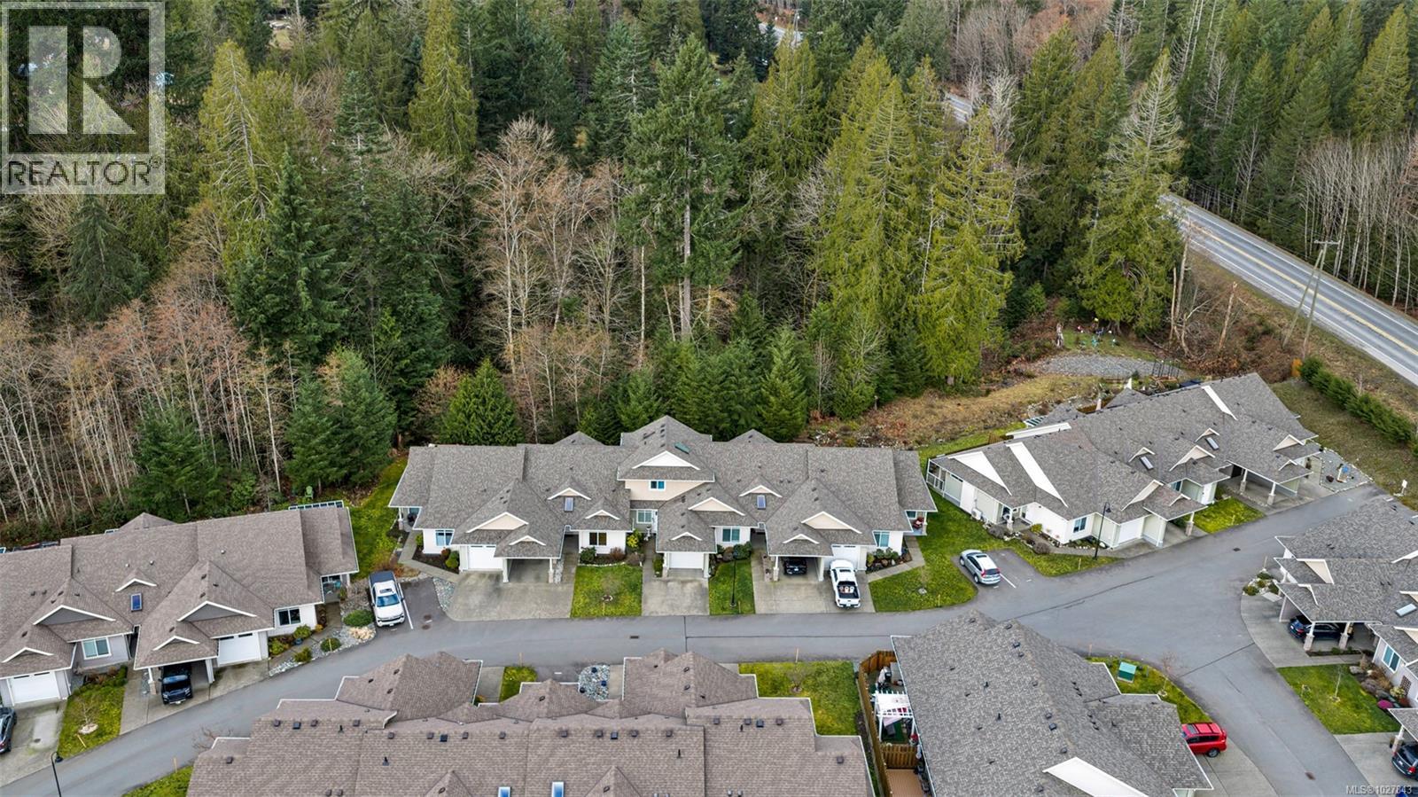 68 300 Grosskleg Way, Lake Cowichan, British Columbia V0R 2G1 - Photo 4 - 1027843