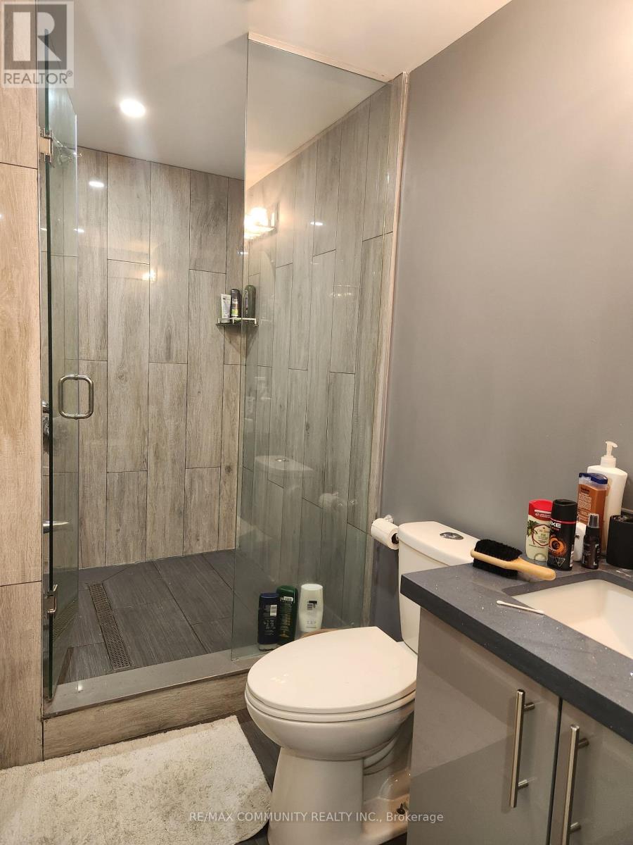 Basement - 14 Audubon Street, Whitby, Ontario  L1P 0C4 - Photo 5 - E12857018