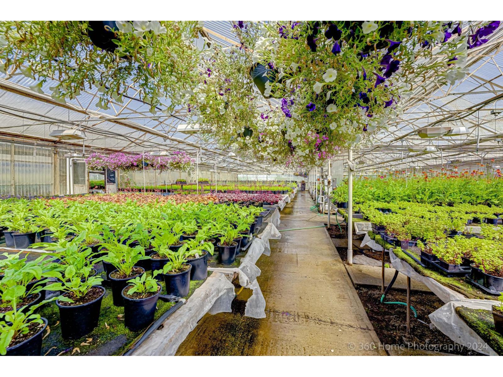 1262 176 Street, Surrey, British Columbia  V3Z 9S5 - Photo 36 - R3095959