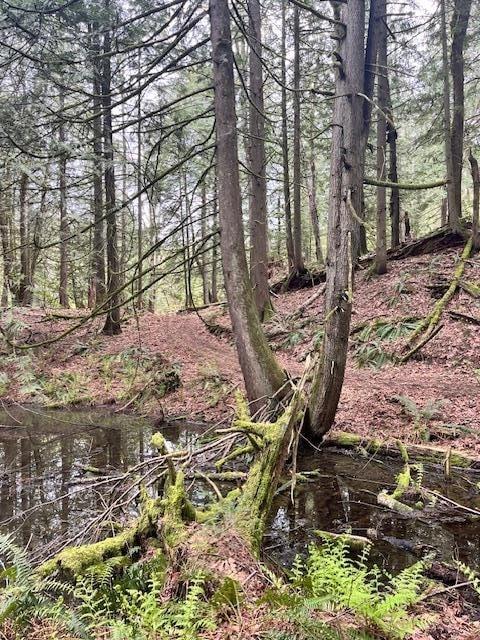 48522 Elk View Road, Ryder Lake, Chilliwack, British Columbia  V4Z 1H1 - Photo 35 - R3096972