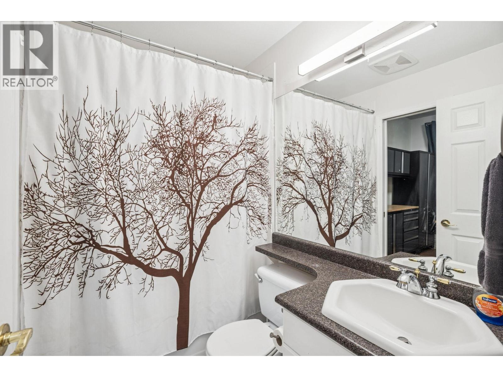 208 3176 Plateau Boulevard, Coquitlam, British Columbia  V3E 3J2 - Photo 20 - R3097151