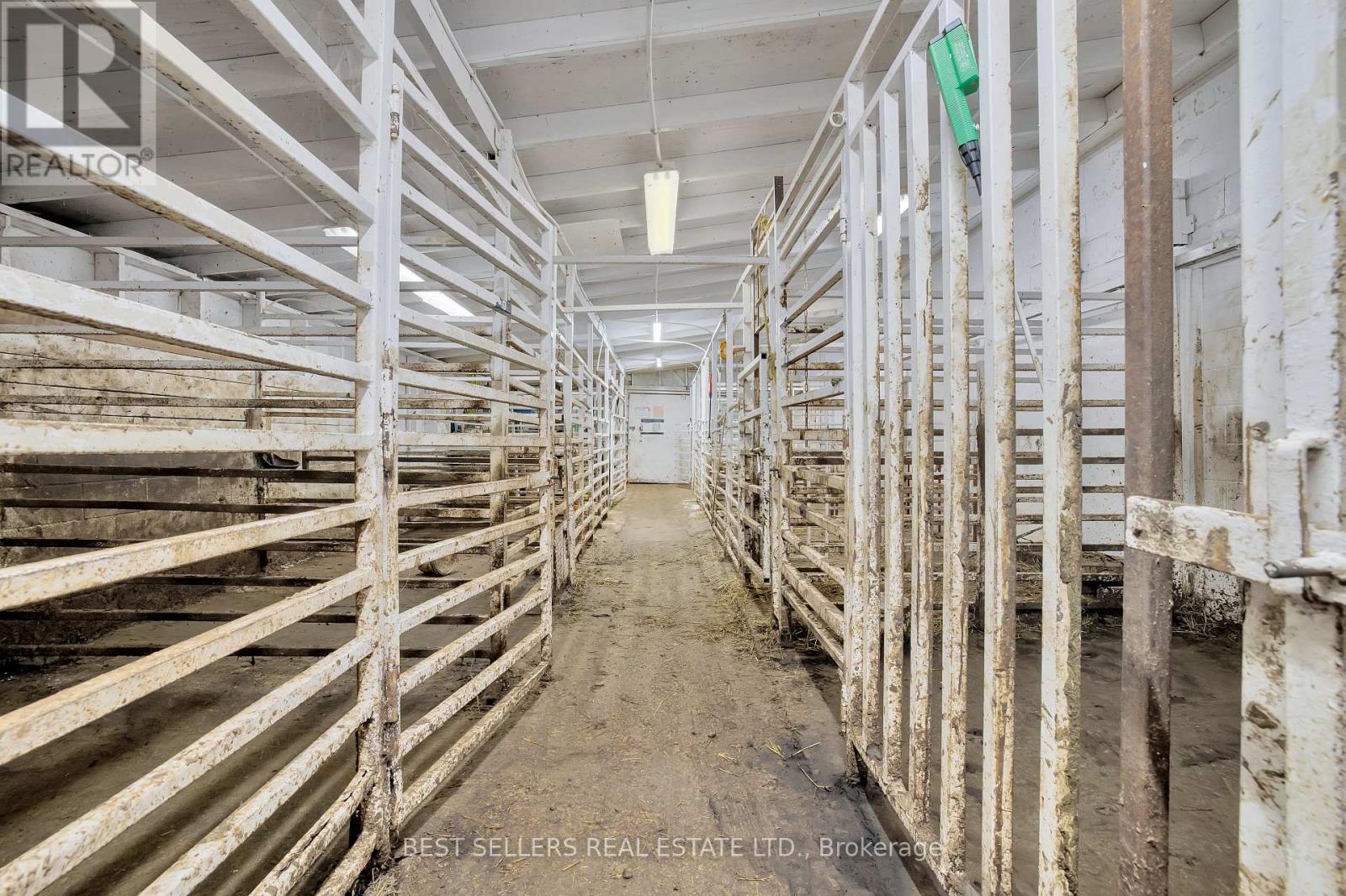 4049 Bonneau Line, Chatham-Kent, Ontario  N0P 2L0 - Photo 18 - X12857132