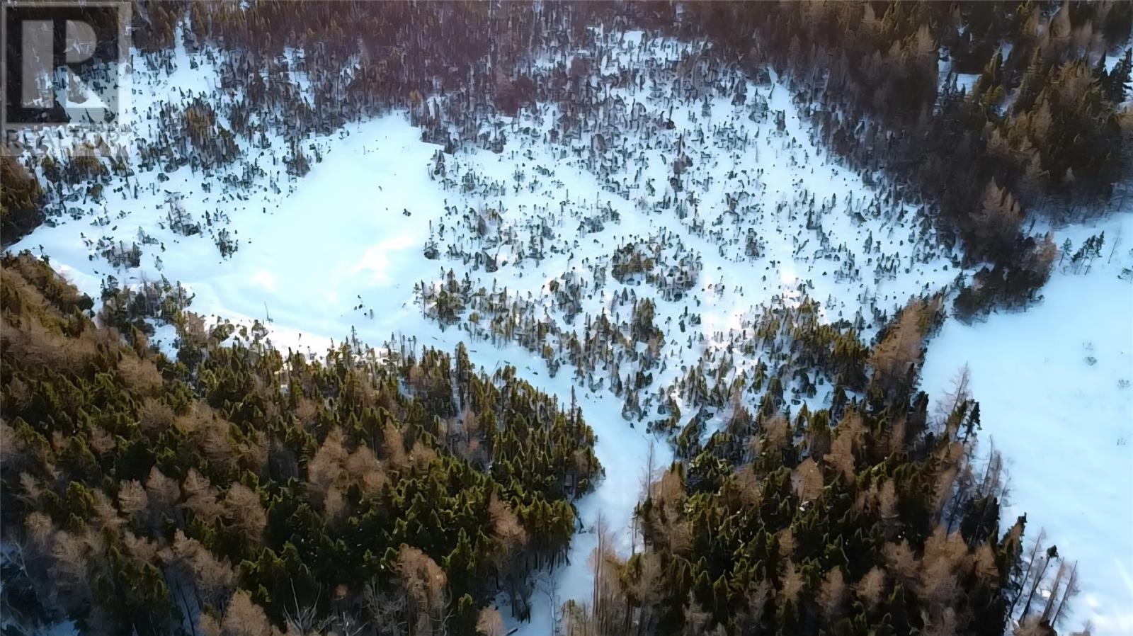 0 Sandy Point Road, Norris Arm, Newfoundland & Labrador  A0G 3M0 - Photo 5 - 1295026