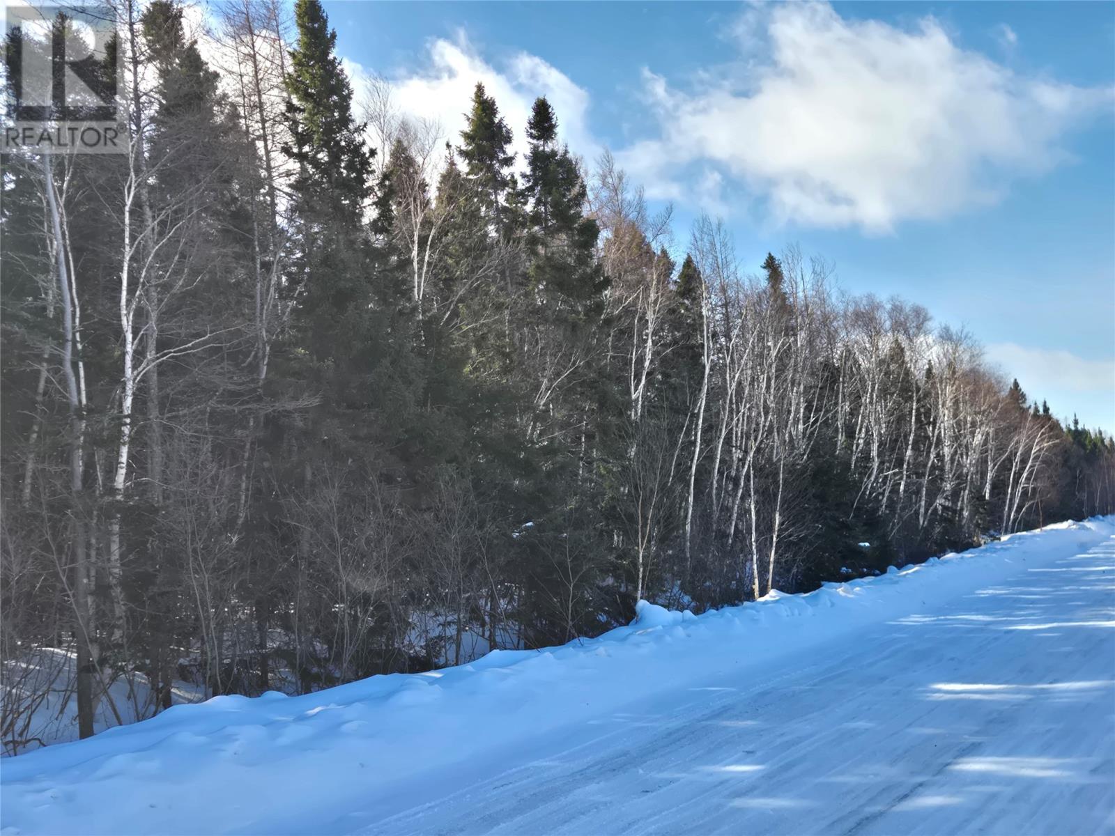 0 Sandy Point Road, Norris Arm, Newfoundland & Labrador  A0G 3M0 - Photo 3 - 1295026