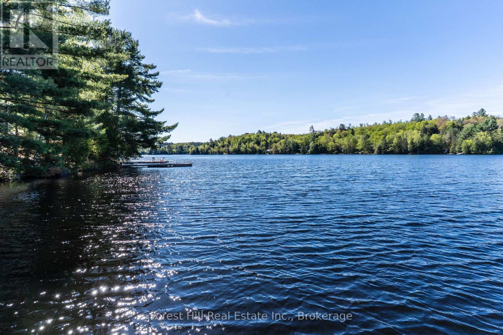 48 Raven Lake, Lake Of Bays (Ridout), Ontario  P0B 1A0 - Photo 38 - X12857318