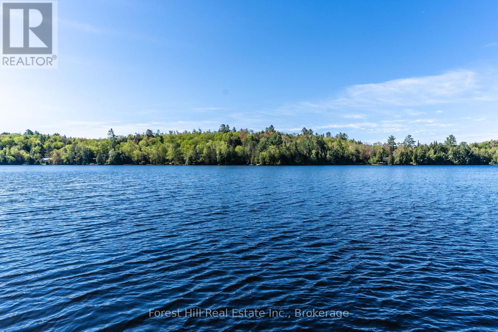 48 Raven Lake, Lake Of Bays (Ridout), Ontario  P0B 1A0 - Photo 49 - X12857318