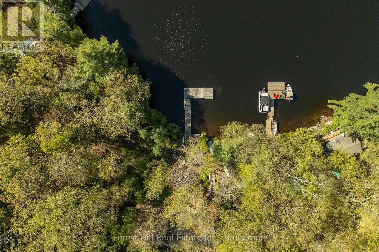 48 Raven Lake, Lake Of Bays (Ridout), Ontario  P0B 1A0 - Photo 6 - X12857318