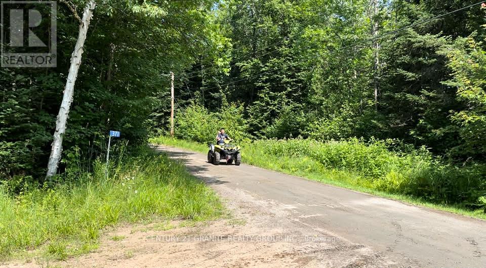 371 Albion Lake Drive, Faraday, Ontario  K0L 1C0 - Photo 3 - X12855918