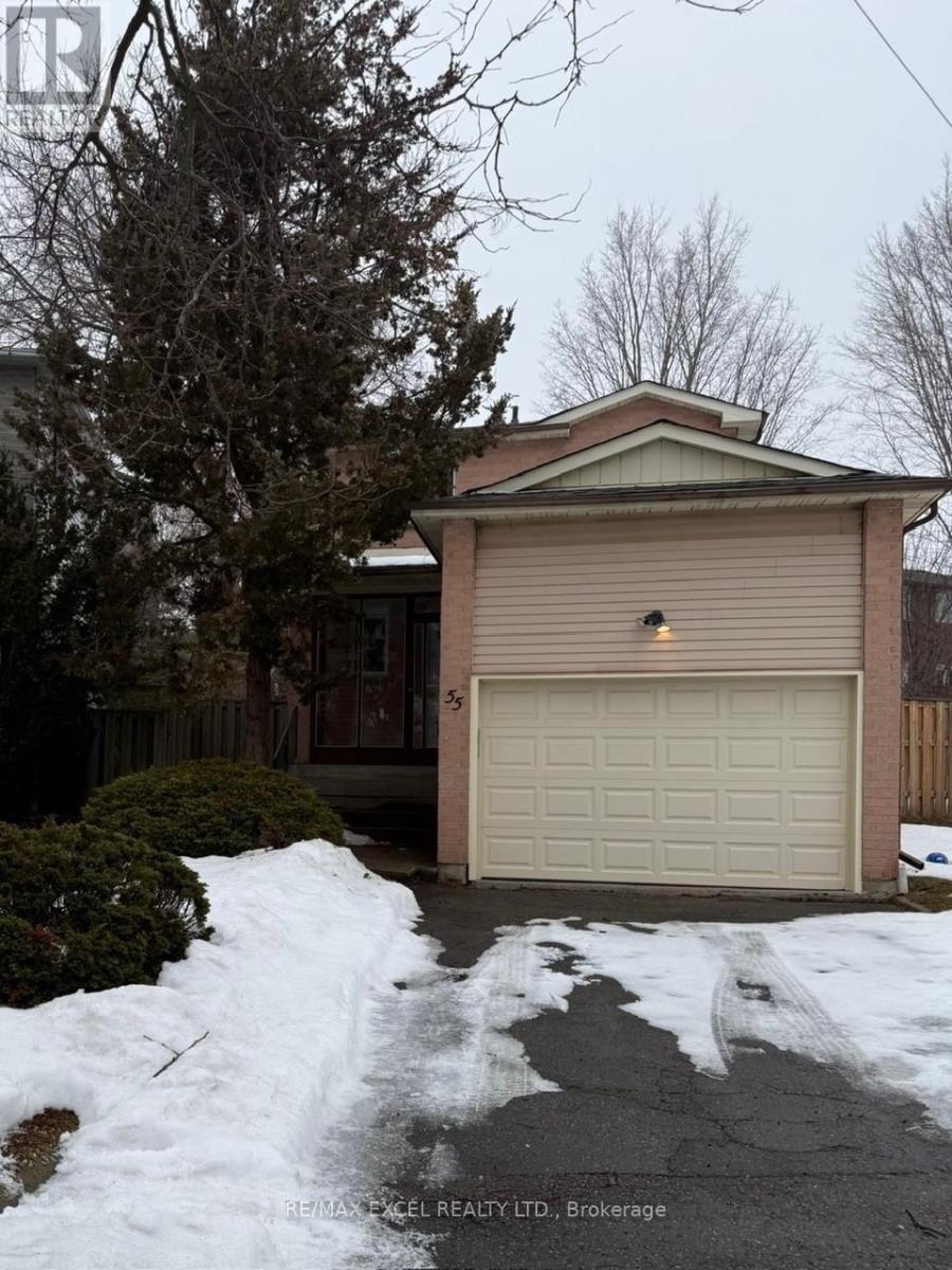 55 PLUMBROOK CRESCENT, toronto (agincourt south-malvern west), Ontario