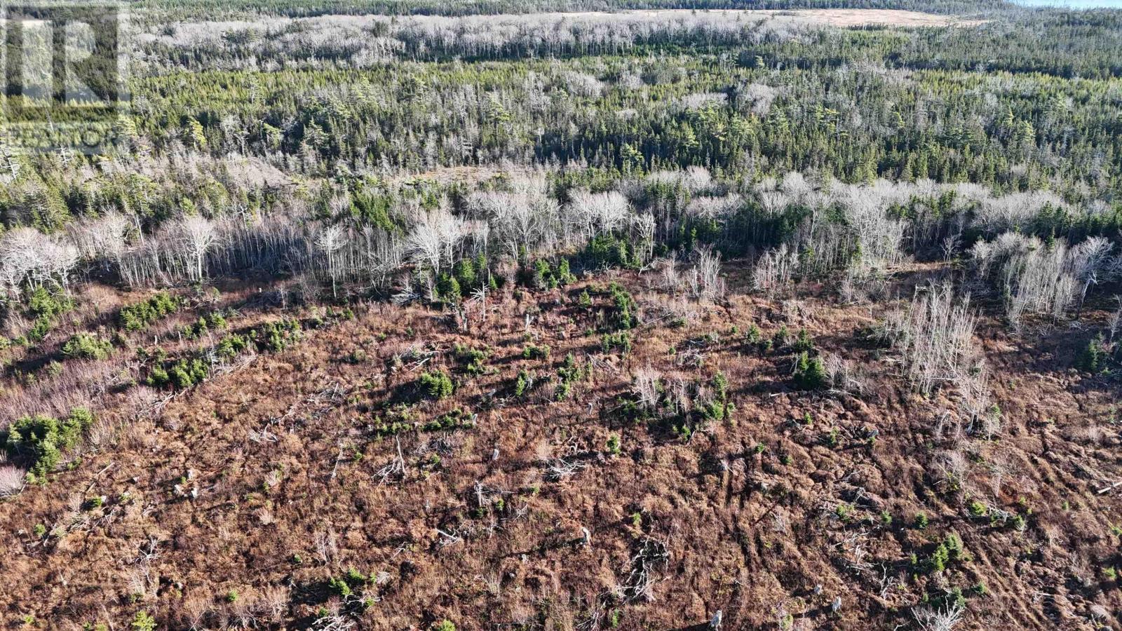Salmon River Road, Enon, Nova Scotia  B1J 1X4 - Photo 9 - 202523774