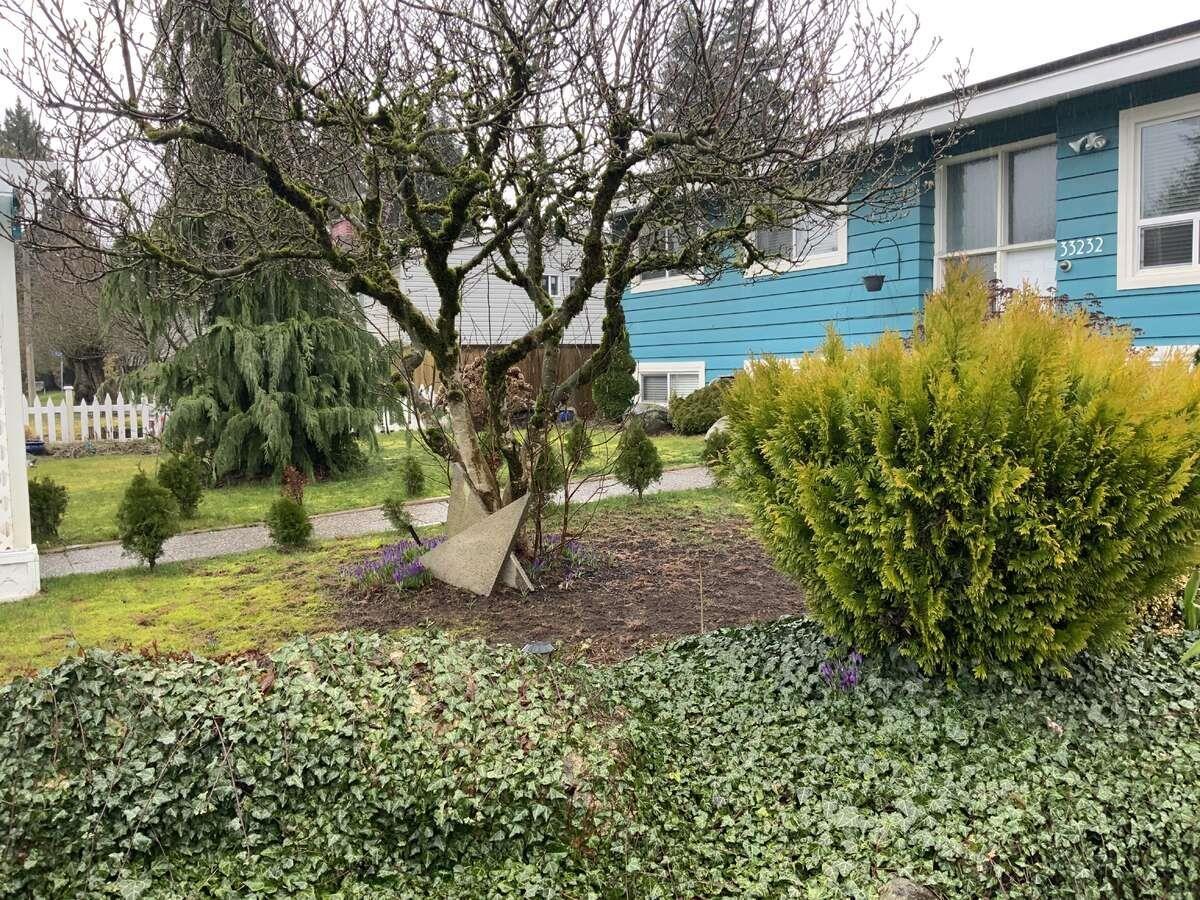 33232 Hawthorne Avenue, Abbotsford, British Columbia  V2S 1B3 - Photo 31 - R3094393