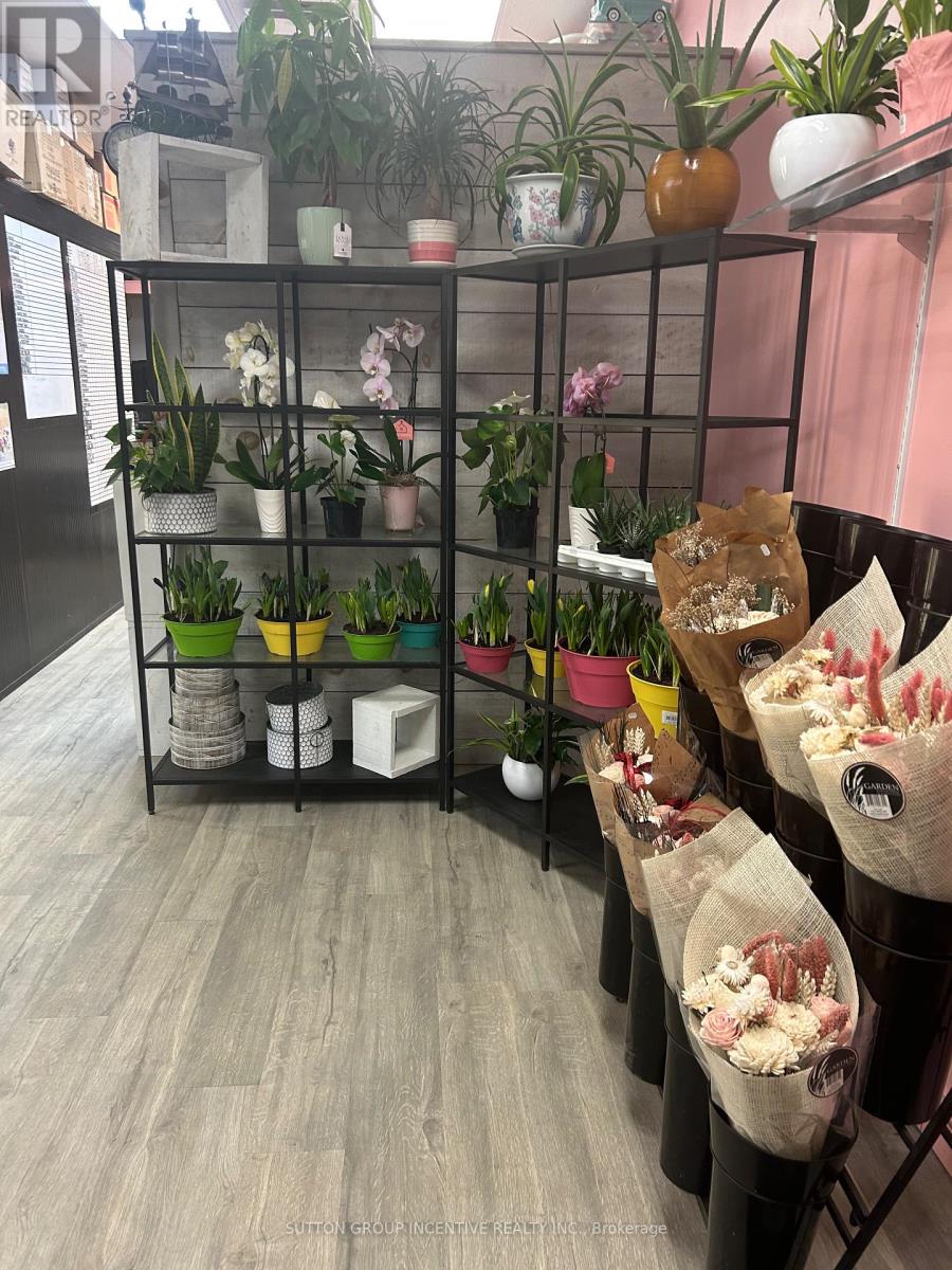 6 - 7 Anne Street S, Barrie, Ontario  L4N 2C4 - Photo 3 - S12857360