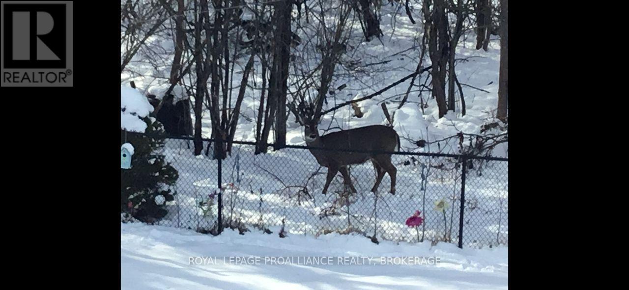 605 Fernmoor Drive, Kingston (East Gardiners Rd), Ontario  K7M 8K5 - Photo 42 - X12850970