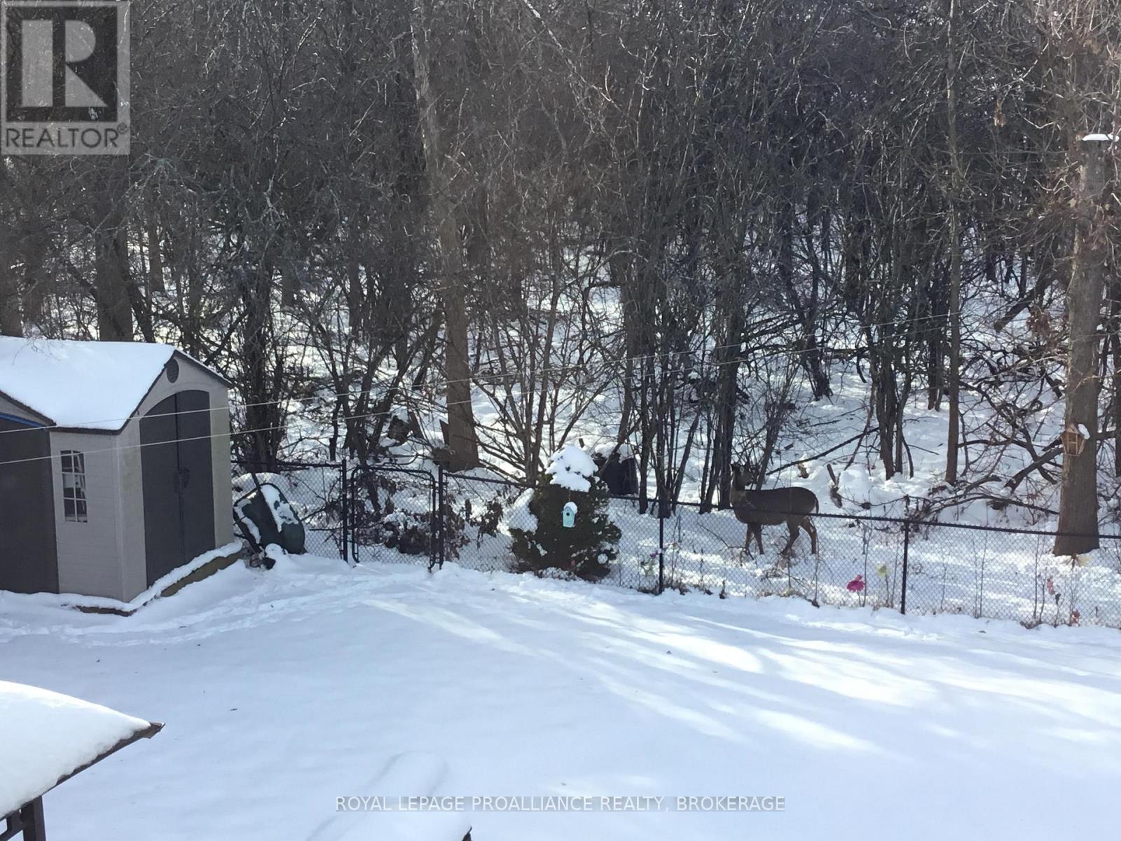 605 Fernmoor Drive, Kingston (East Gardiners Rd), Ontario  K7M 8K5 - Photo 40 - X12850970