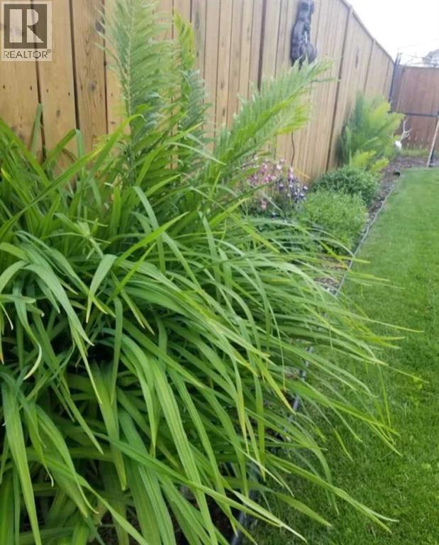 36 Johns Street, Red Deer, Alberta  T4P 4C8 - Photo 21 - A2285563