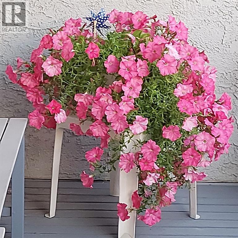 303, 1633 26 Avenue Sw, Calgary, Alberta  T2T 2C7 - Photo 37 - A2281801