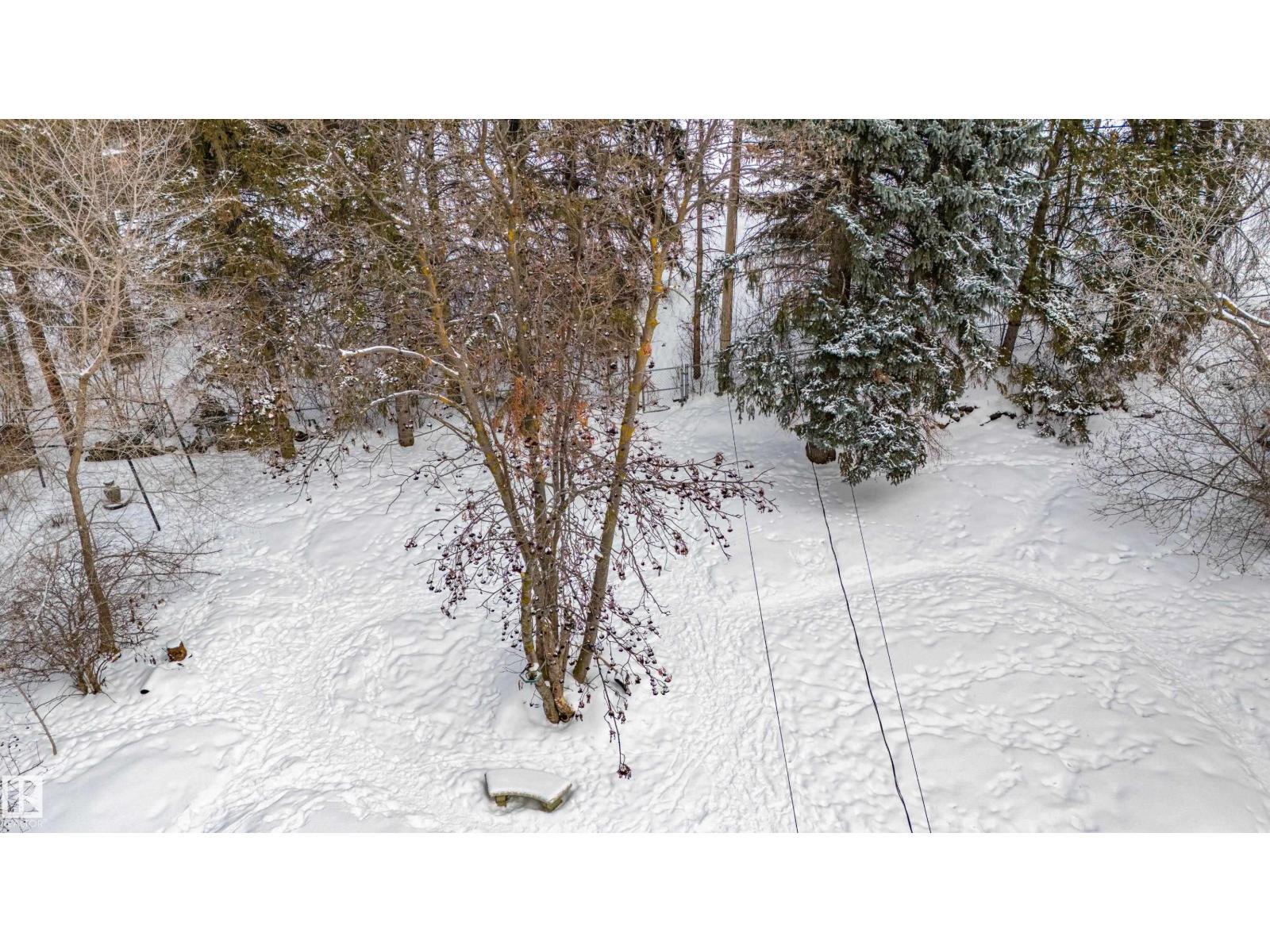 38 Gresham Bv, St. Albert, Alberta  T8N 1A9 - Photo 32 - E4476427