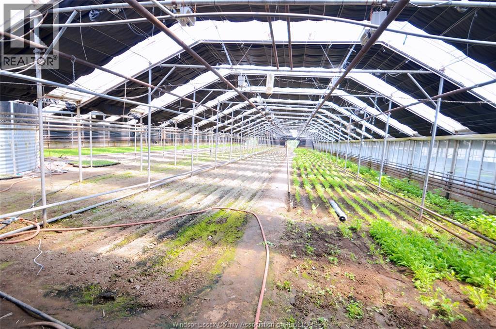 922 Talbot Road E, Wheatley, Ontario  N0P 2P0 - Photo 5 - 26004756