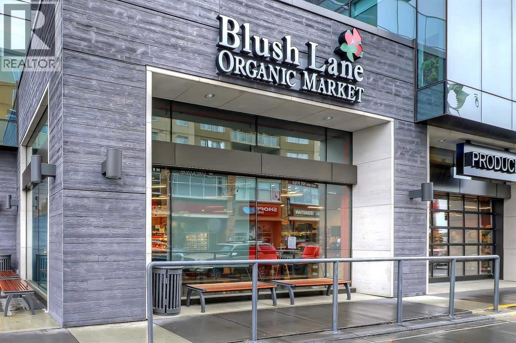 4, 1524 29 Avenue Sw, Calgary, Alberta  T2T 1M3 - Photo 47 - A2230614