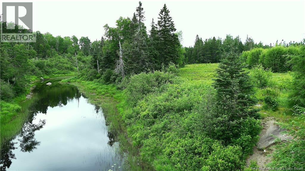 977 Route 770, Bonny River, New Brunswick  E5C 1C8 - Photo 1 - NB134602