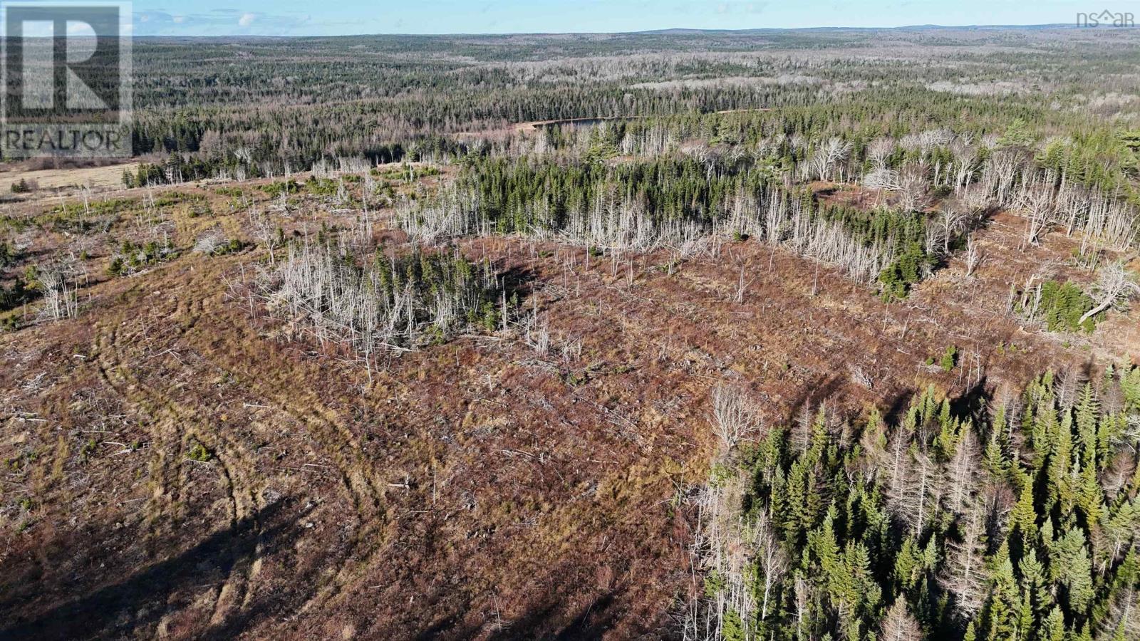 Salmon River Road, Enon, Nova Scotia  B1J 1X6 - Photo 23 - 202523772