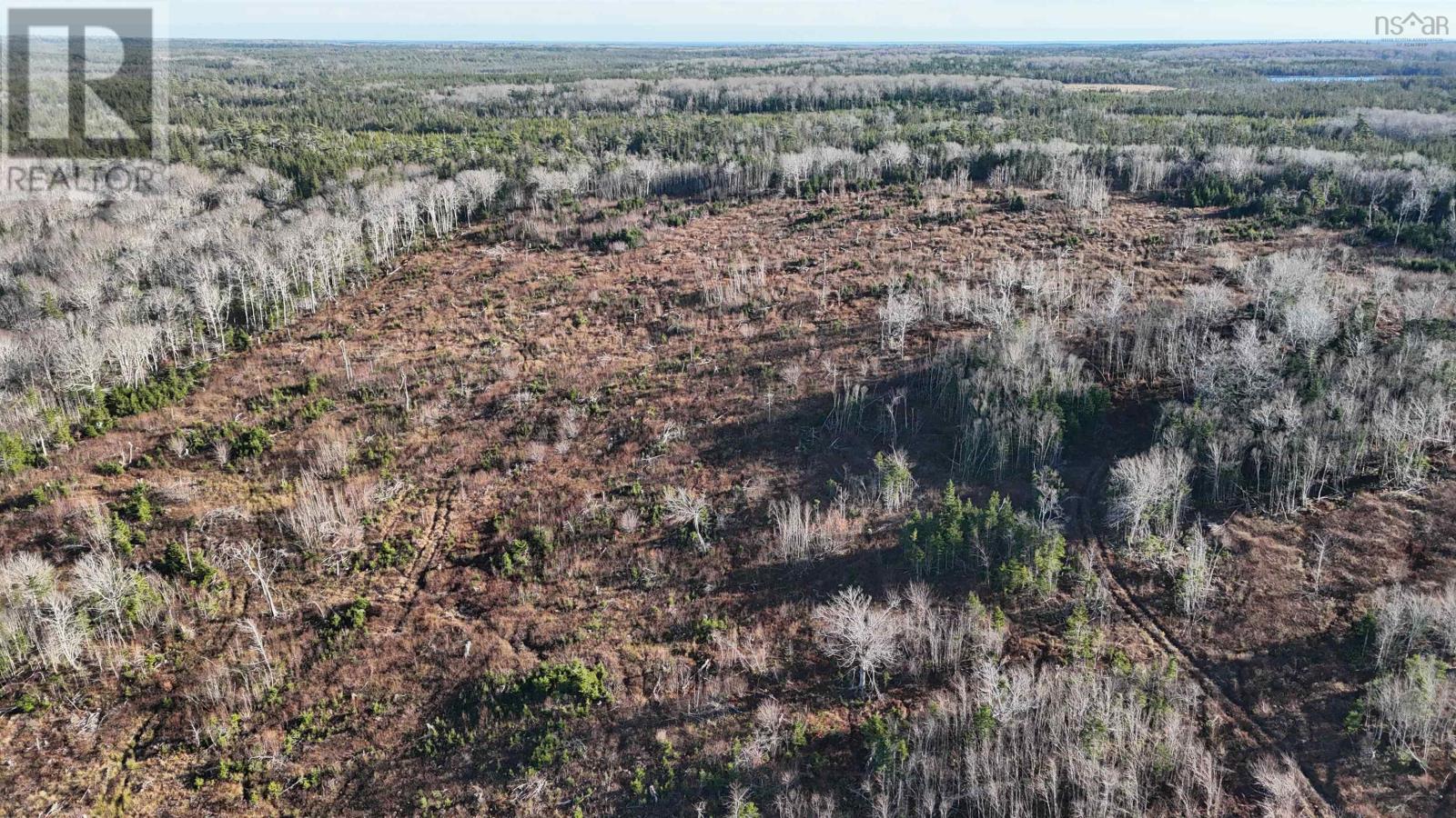 Salmon River Road, Enon, Nova Scotia  B1J 1X6 - Photo 25 - 202523772