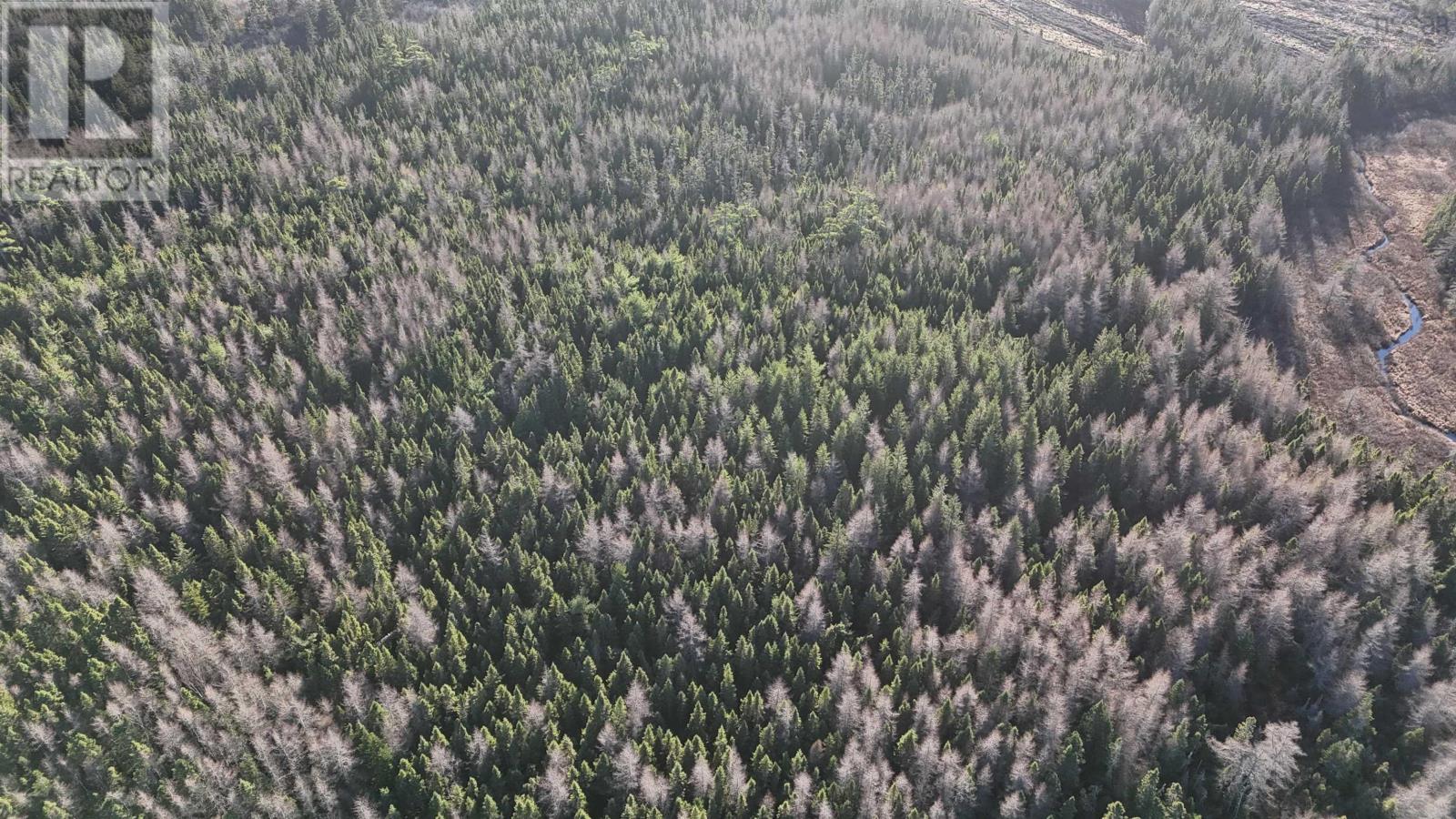 Salmon River Road, Enon, Nova Scotia  B1J 1X6 - Photo 7 - 202523772