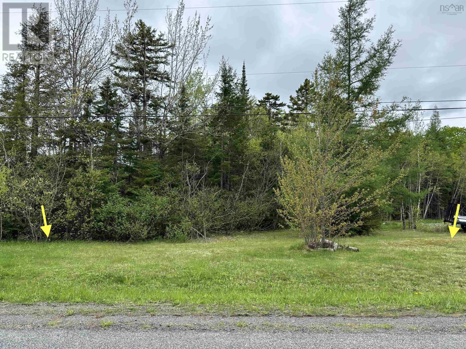 19 Acres+- Wallace Road, Hazel Glen, Nova Scotia  B0K 2A0 - Photo 5 - 202604068