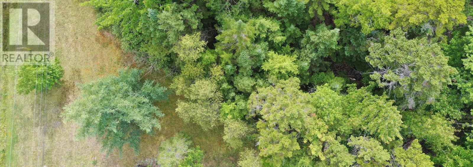 19 Acres+- Wallace Road, Hazel Glen, Nova Scotia  B0K 2A0 - Photo 6 - 202604068