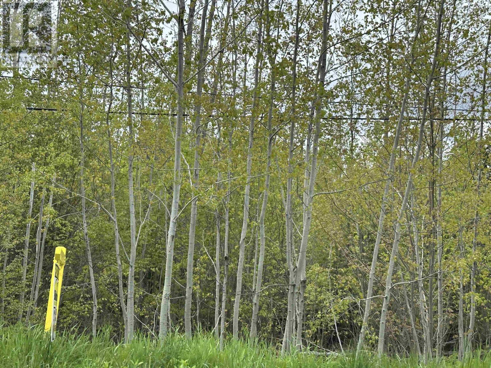 19 Acres+- Wallace Road, Hazel Glen, Nova Scotia  B0K 2A0 - Photo 11 - 202604068