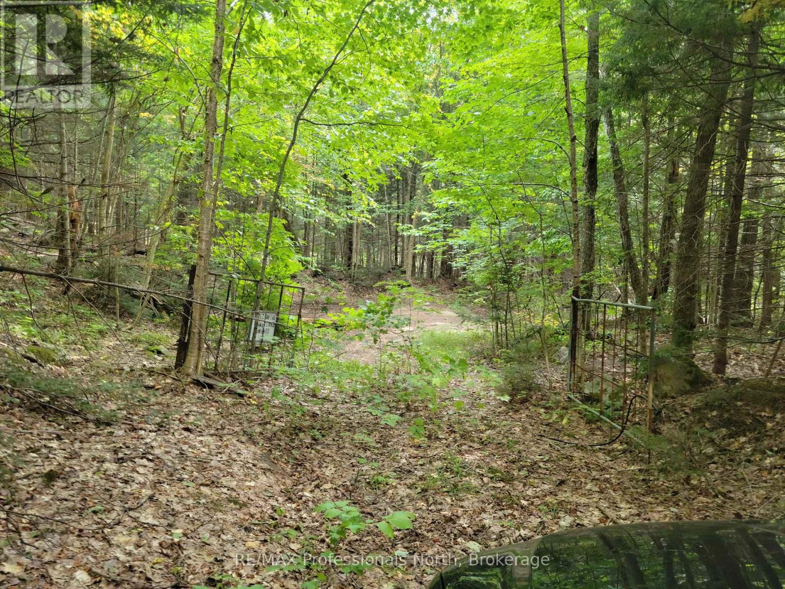 Lot 9 & 10 Concession 5, Lake Of Bays, Ontario  P0B 1A0 - Photo 13 - X12857604