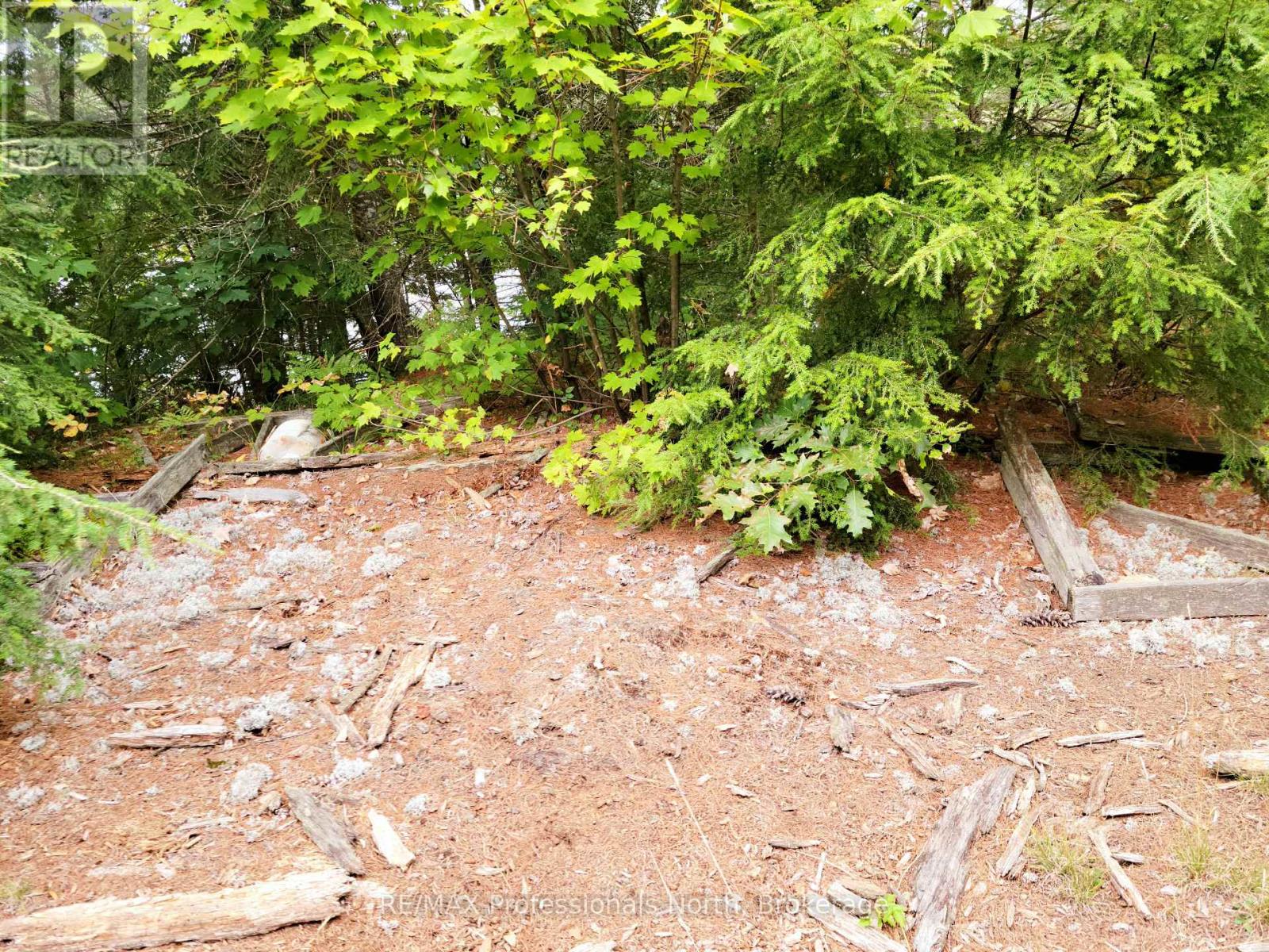 Lot 9 & 10 Concession 5, Lake Of Bays, Ontario  P0B 1A0 - Photo 17 - X12857604