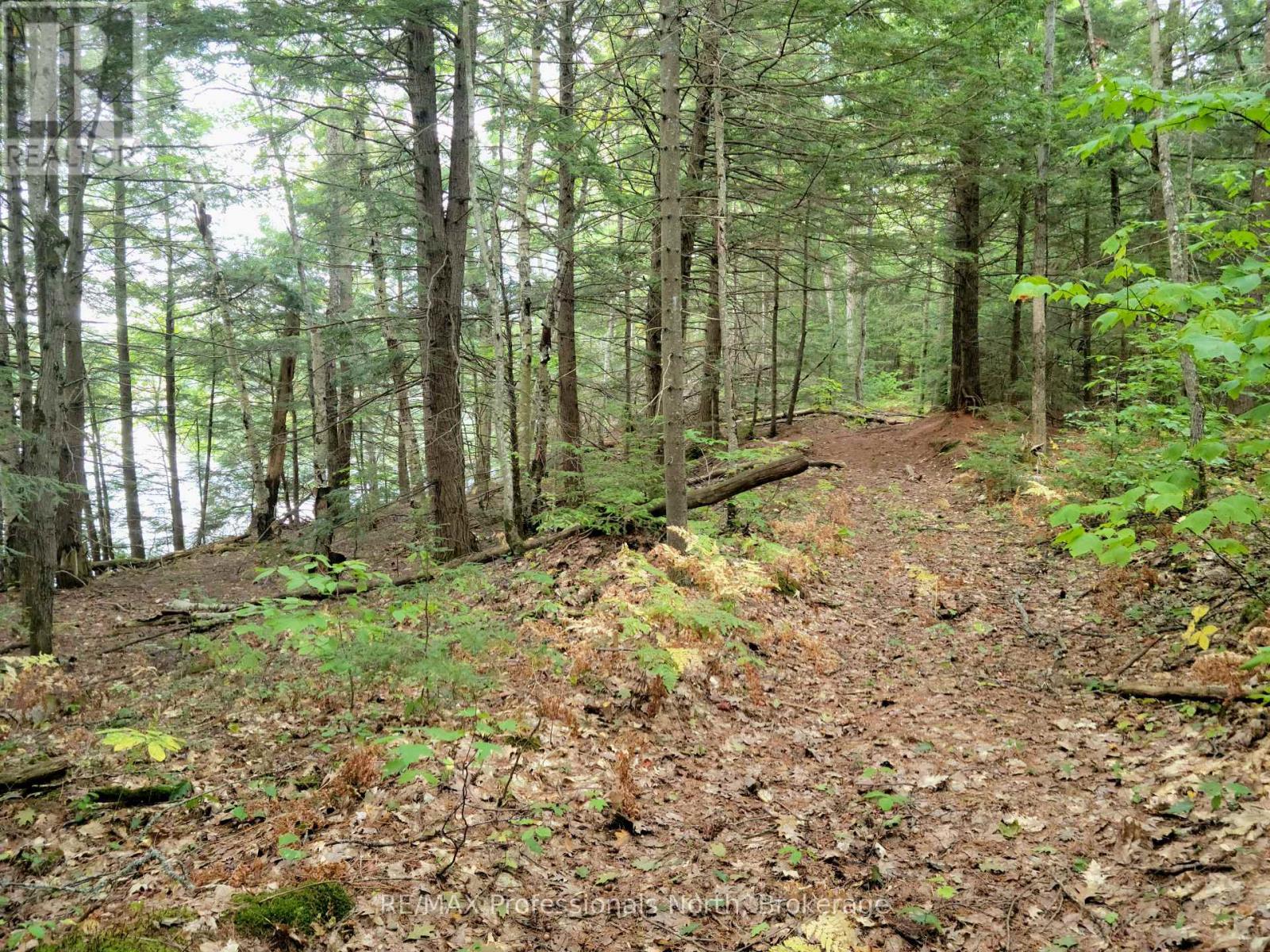 Lot 9 & 10 Concession 5, Lake Of Bays, Ontario  P0B 1A0 - Photo 18 - X12857604