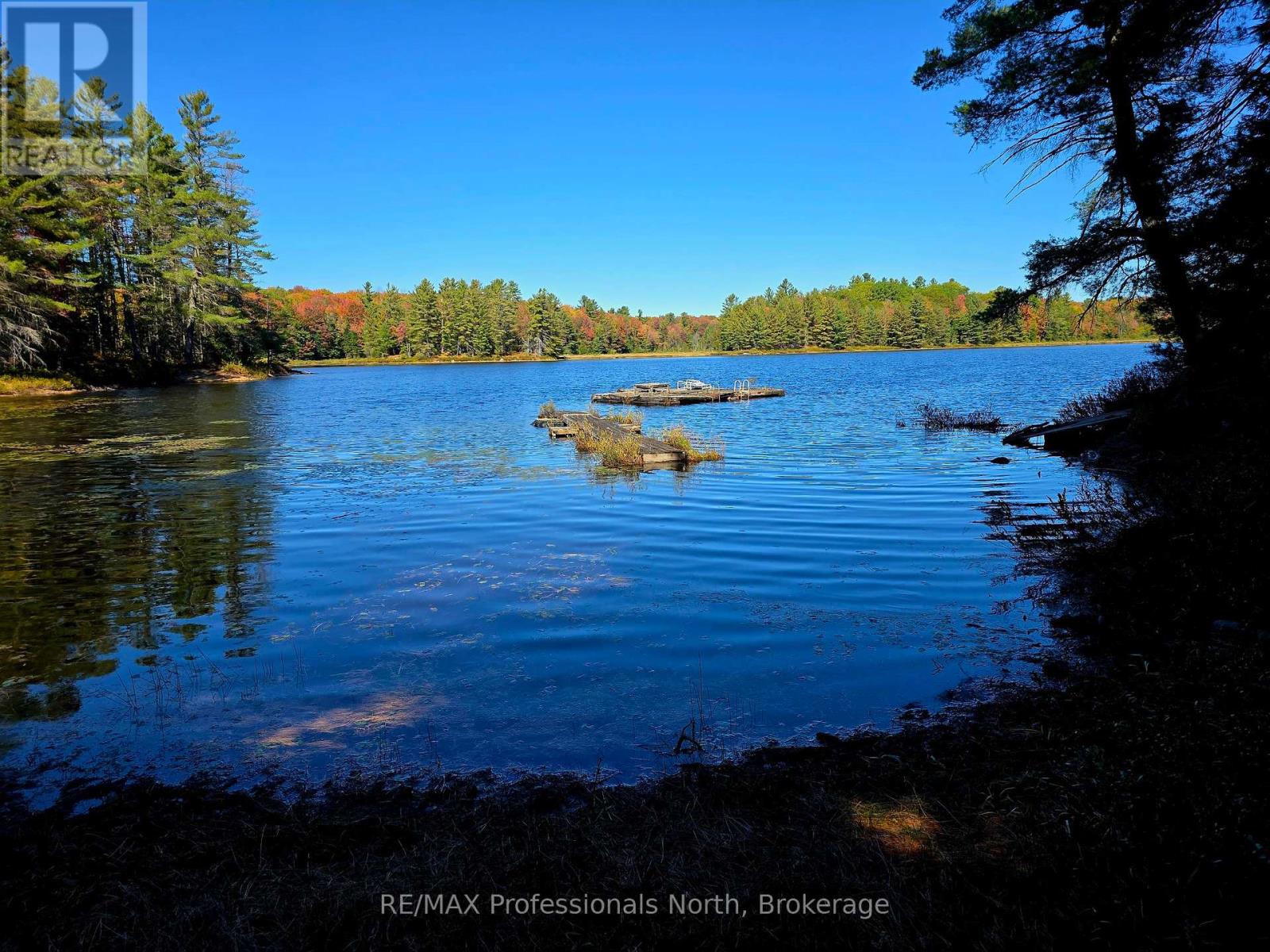 Lot 9 & 10 Concession 5, Lake Of Bays, Ontario  P0B 1A0 - Photo 2 - X12857604