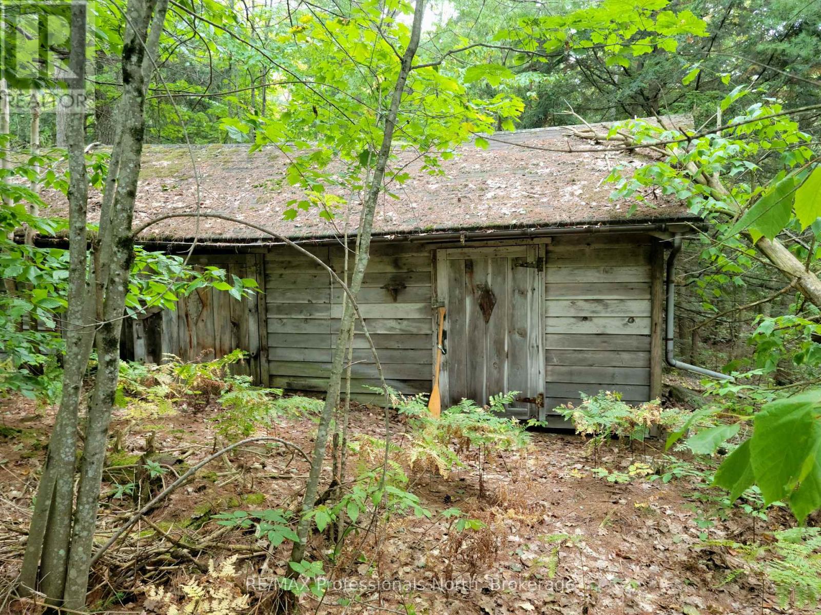 Lot 9 & 10 Concession 5, Lake Of Bays, Ontario  P0B 1A0 - Photo 20 - X12857604