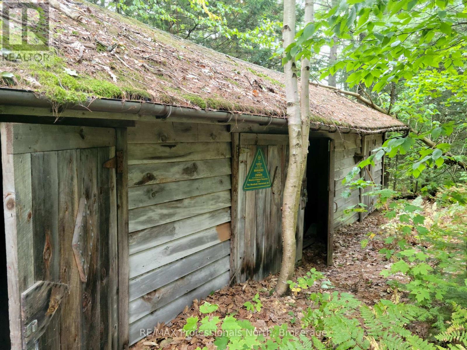 Lot 9 & 10 Concession 5, Lake Of Bays, Ontario  P0B 1A0 - Photo 21 - X12857604