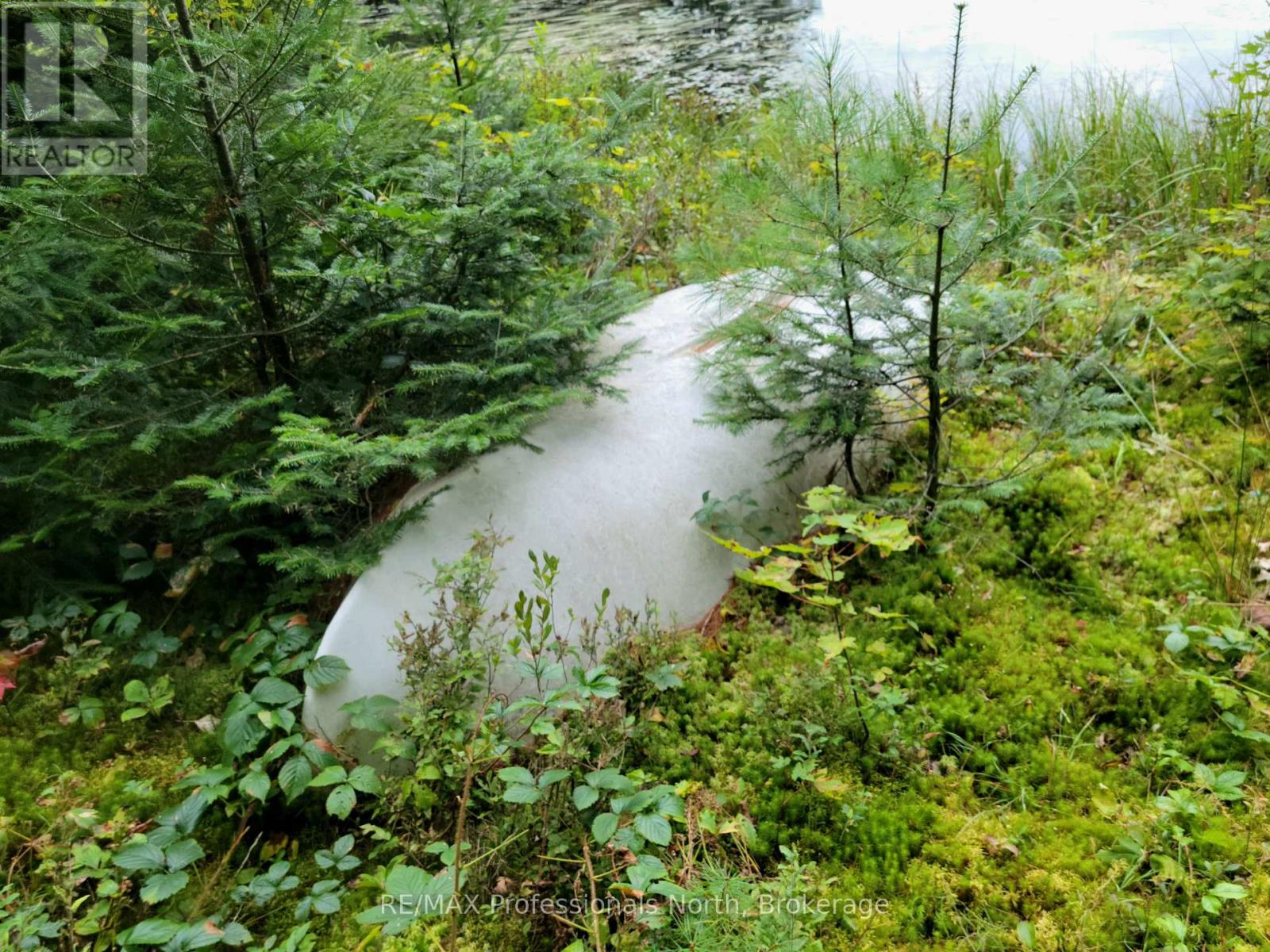 Lot 9 & 10 Concession 5, Lake Of Bays, Ontario  P0B 1A0 - Photo 22 - X12857604