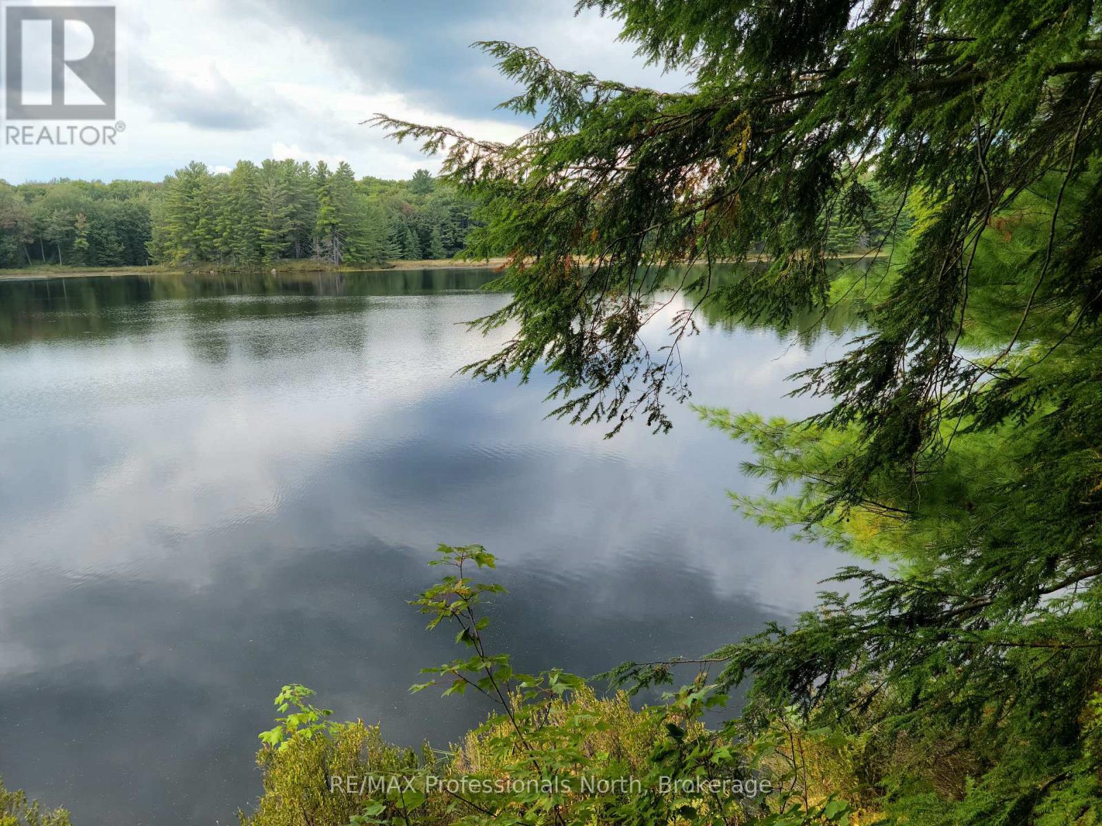 Lot 9 & 10 Concession 5, Lake Of Bays, Ontario  P0B 1A0 - Photo 23 - X12857604