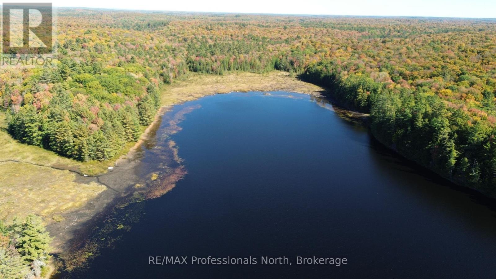 Lot 9 & 10 Concession 5, Lake Of Bays, Ontario  P0B 1A0 - Photo 4 - X12857604