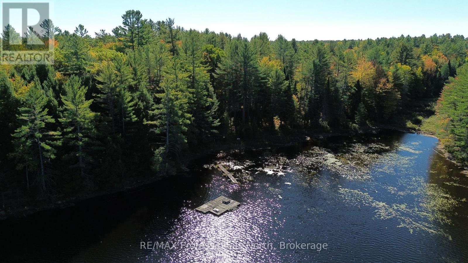 Lot 9 & 10 Concession 5, Lake Of Bays, Ontario  P0B 1A0 - Photo 6 - X12857604