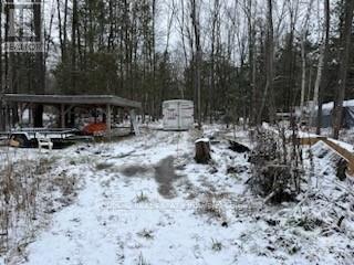 Lot 2 Concession 5 Road, Alfred And Plantagenet, Ontario  K0B 1L0 - Photo 9 - X12857672